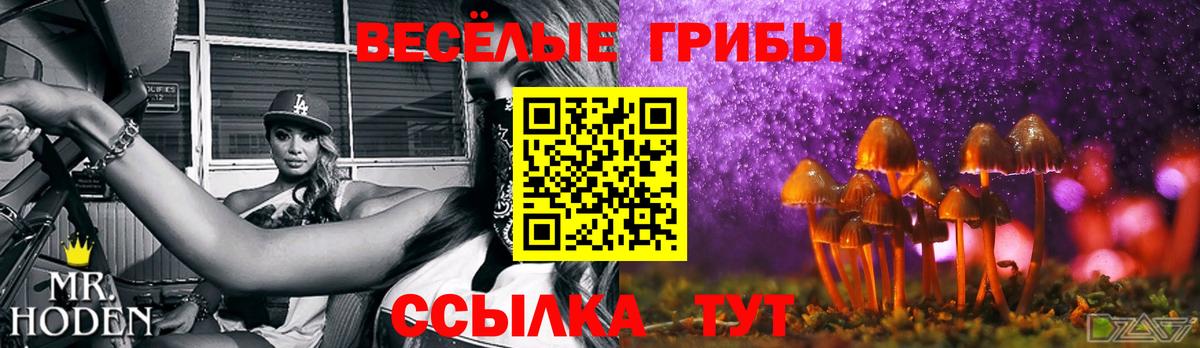 Галлюциногенные грибы Magic Shrooms  Вход с VPN  Псилоцибиновые грибы Magic Shrooms  Миллерово 